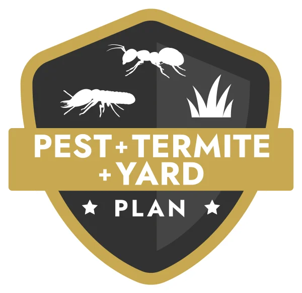 pest-termite-yard-plan