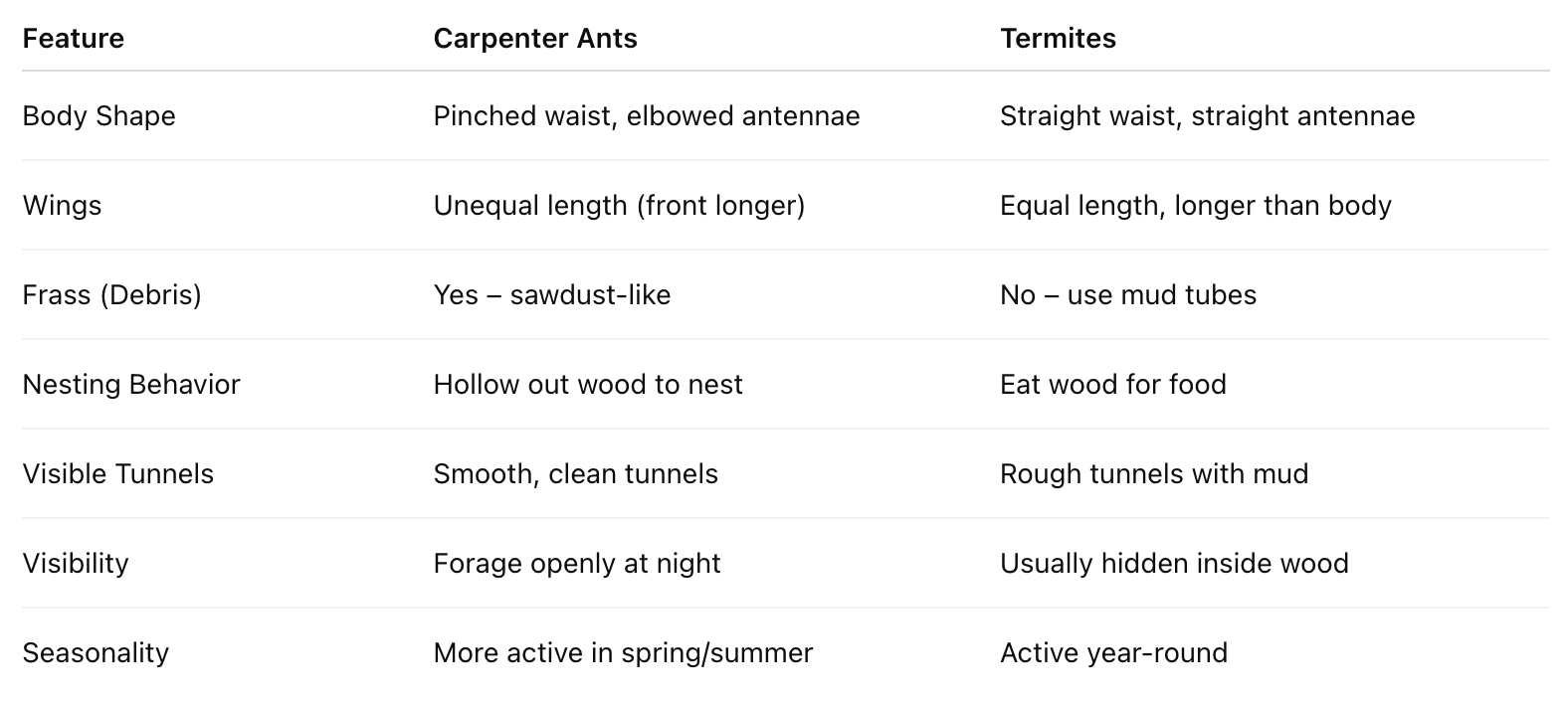 compare termites vs carpenter ants