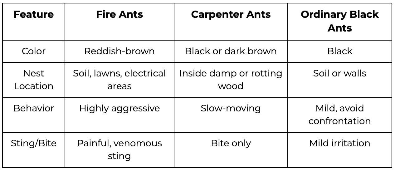 a table comparing fire ants to carpenter ants and black ants
