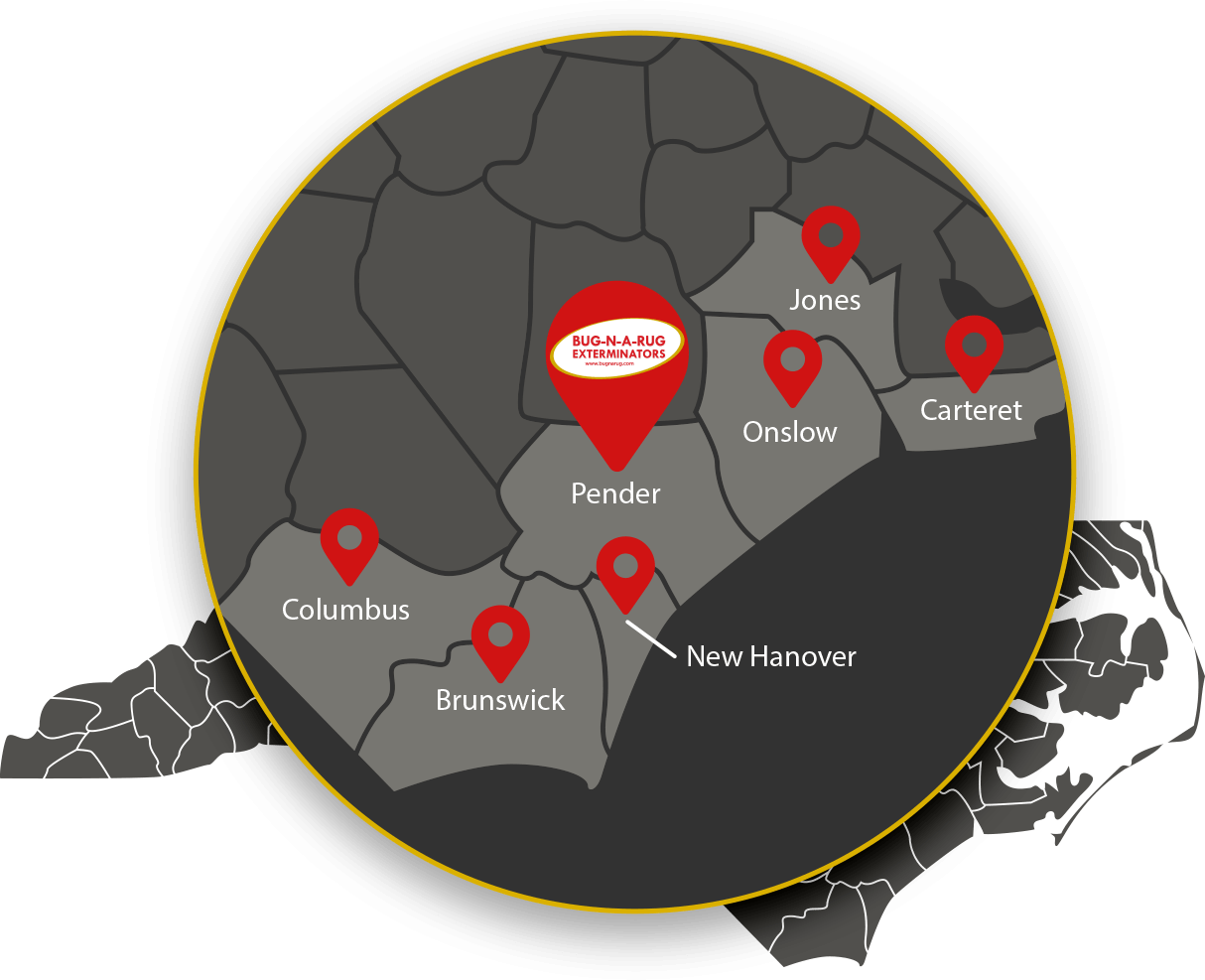 Service Areas Map