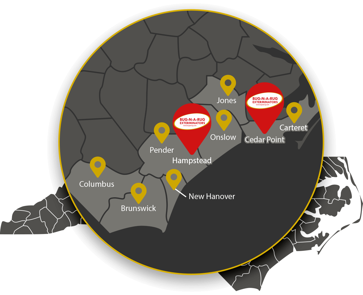 Pest Control Exterminator in St.James BugNARug