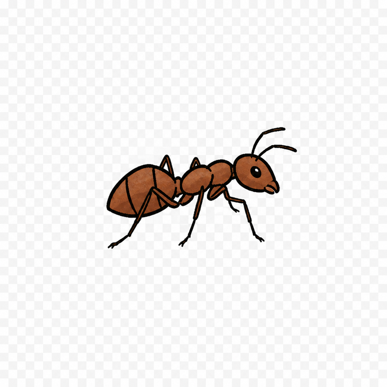 Ants