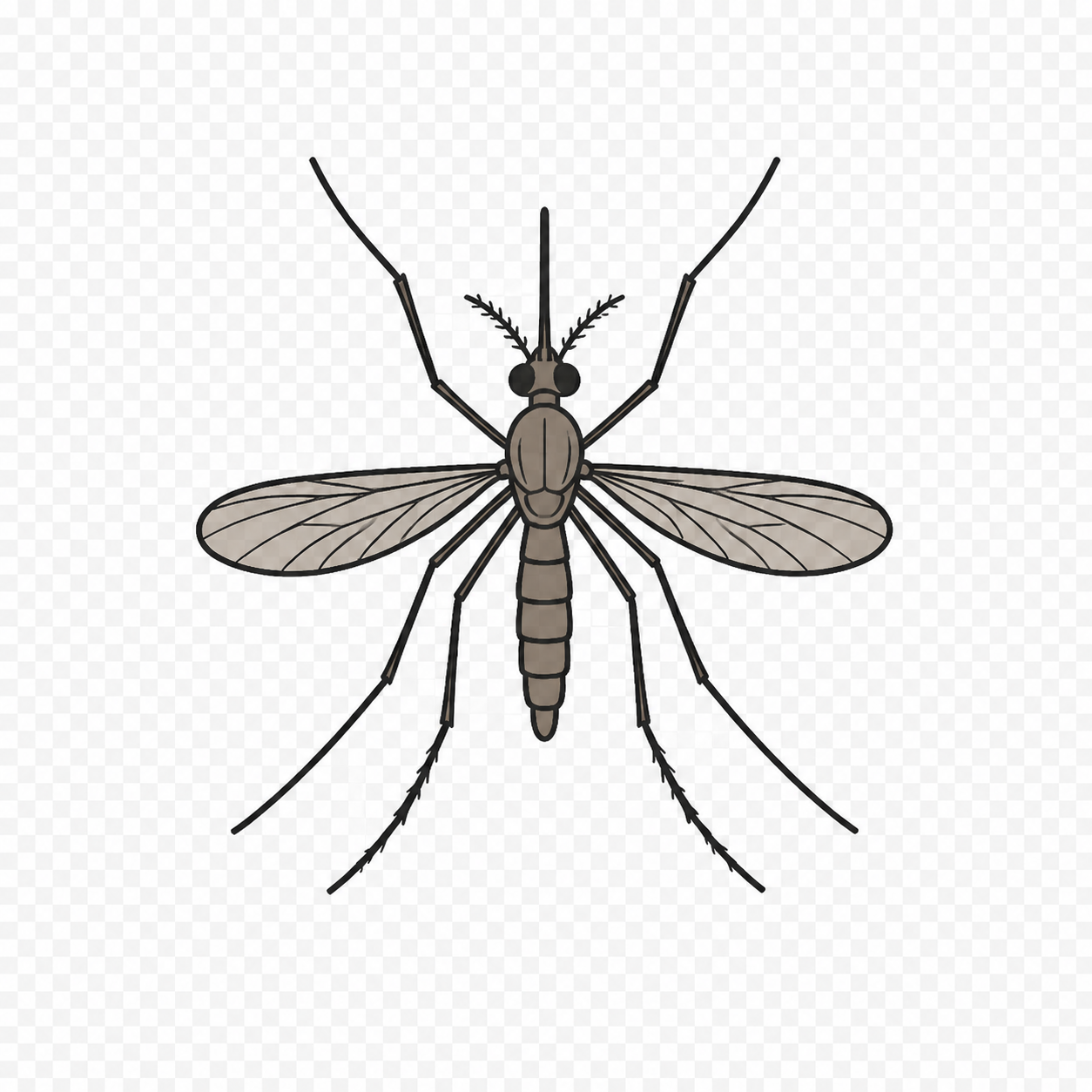 Mosquitoes