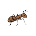 an ant icon
